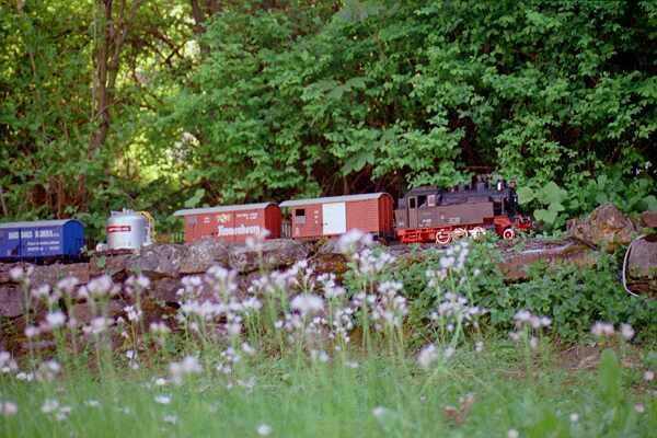 Gterzug bergwrts gezogen von 99 6001